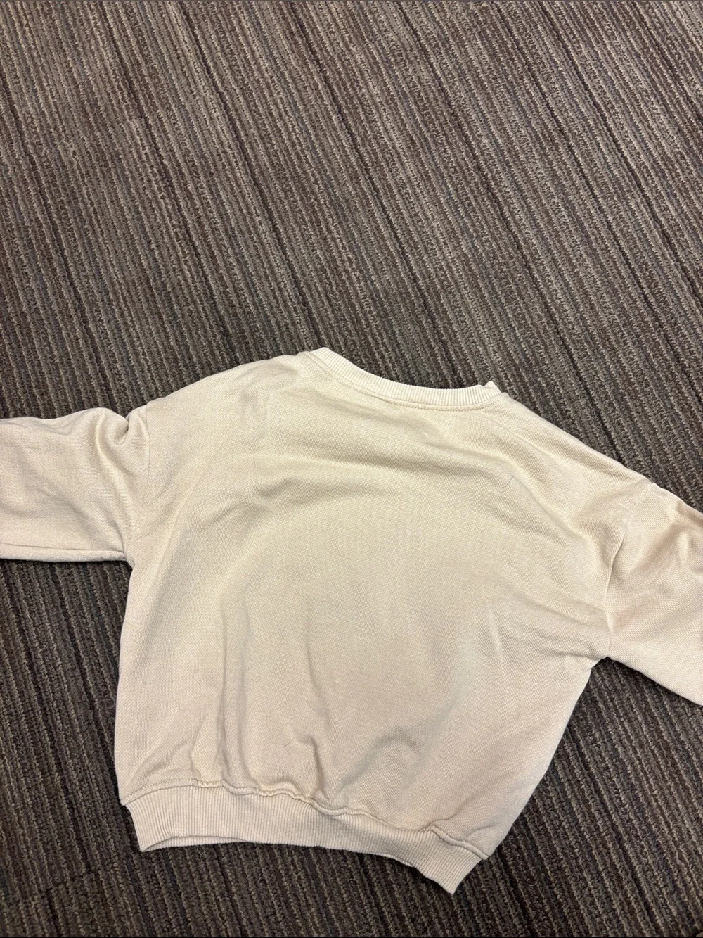 Beige Sweatshirt ZARA 4T NWOT the dog academy